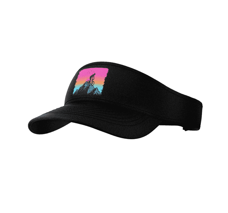 pr 310 visera